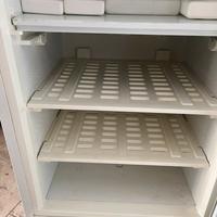 Frigo più freezer