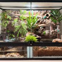 Teca terrario paludario