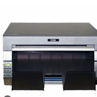 Dnp ds80
