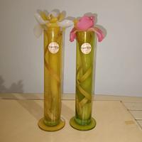 Candele con vaso "Lucilla"