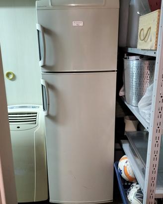 frigo rex