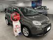 FIAT Panda 1.0 Hybrid 70 CV City Life