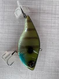 Deps dlc104f member limited