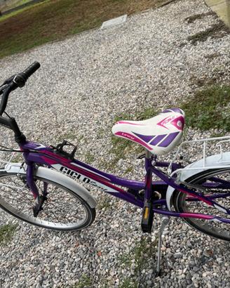 Bicicletta