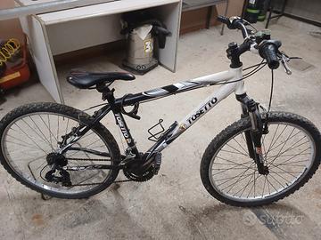 Mountain bike
