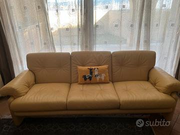 due divani in pelle