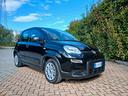 fiat-panda-firefly-sas-hybrid