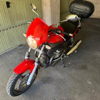 Moto Guzzi Breva 750 - 2006