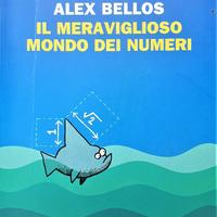 IL MERAVIGLIOSO MONDO DEI NUMERI - PRIMA EDIZIONE