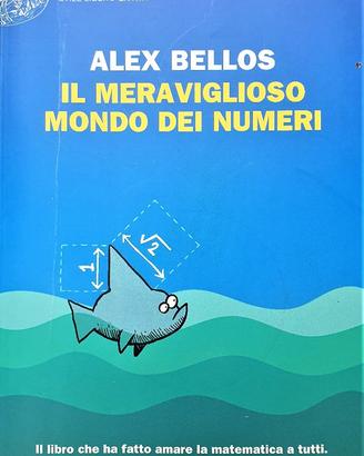 IL MERAVIGLIOSO MONDO DEI NUMERI - PRIMA EDIZIONE