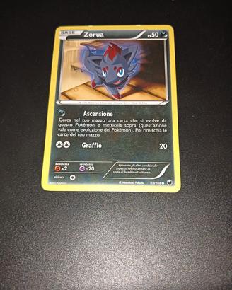 zorua 2012