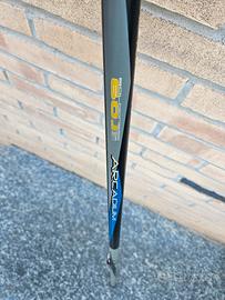 Bolognese Maver Arcadium 6M