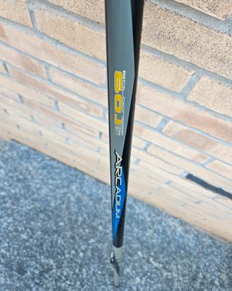 Bolognese Maver Arcadium 6M