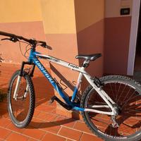 Mtb torpado
