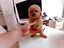 Immagine 18