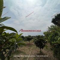 Terreno, Casteldaccia.