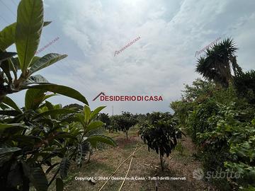 Terreno, Casteldaccia.