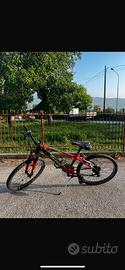 Bici da bambino