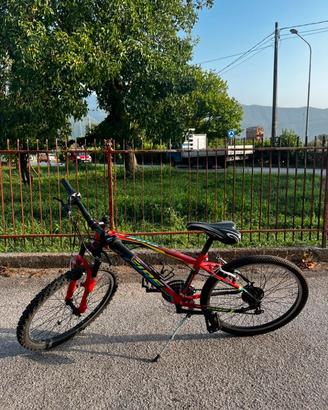 Bici da bambino
