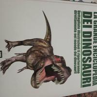 Libro sui  dinosauri 