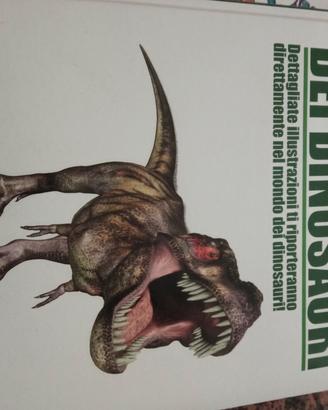 Libro sui  dinosauri 