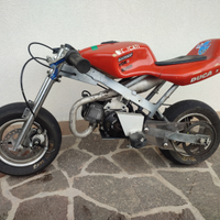 Minimoto replica Ducati