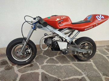 Minimoto replica Ducati