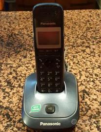 Cordless portatile Panasonic