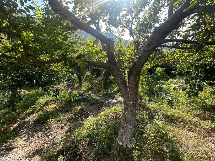 Terreno Agricolo Cataforio 1500 Mq - Altro
