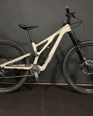 Specialized Stumpjumper evo expert S1