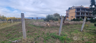 Vendita terreno agricolo