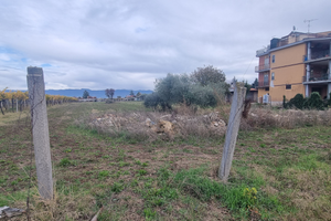 Vendita terreno agricolo