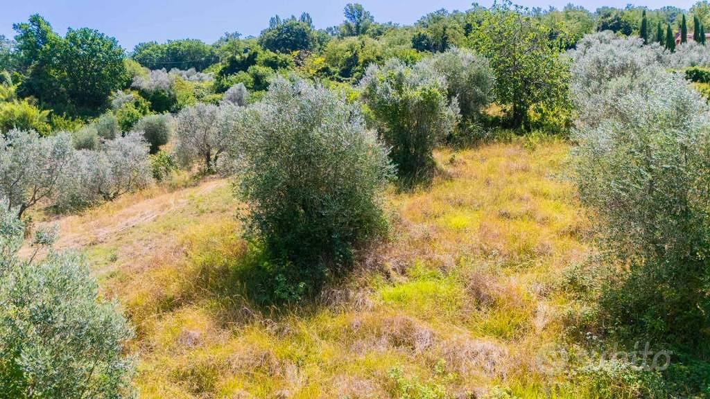 Terreno di 17299 m² a Mompeo - Altro