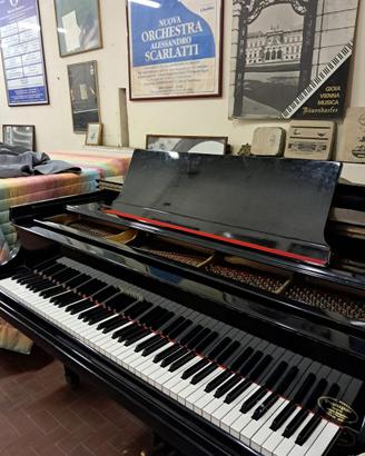 Pianoforte a coda