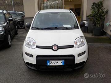 FIAT Panda MY25 - 1.0 FireFly Hybrid ICON