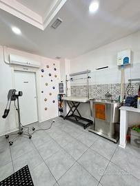 Tolettatura per Cani e Gatti