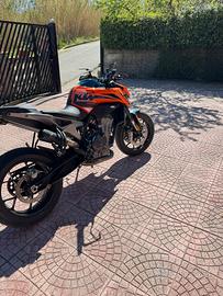 KTM Duke 790 2023