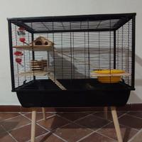 Gabbia  criceti roditori piccoli animali
