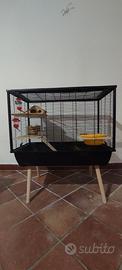 Gabbia  criceti roditori piccoli animali