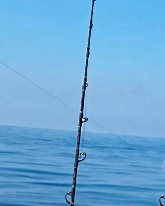 Borderline DNA Solid anima max drag 16kg/45