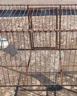 gabbia per conigli/galline