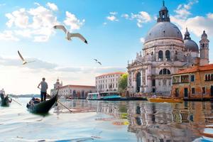 Bar di Nuova Realizzazione a Venezia - Zon