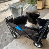 Carrello pieghevole per trasporto