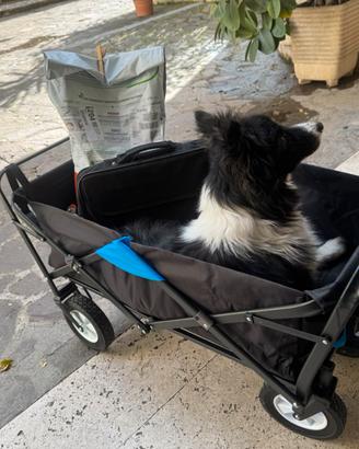 Carrello pieghevole per trasporto
