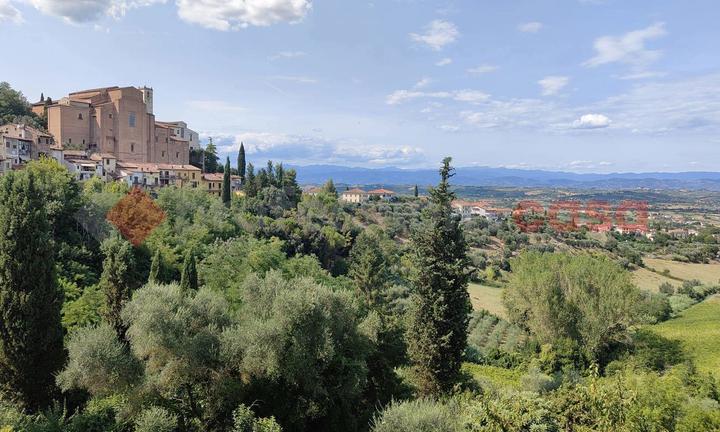 Duplex San Miniato [1/0440VRG]