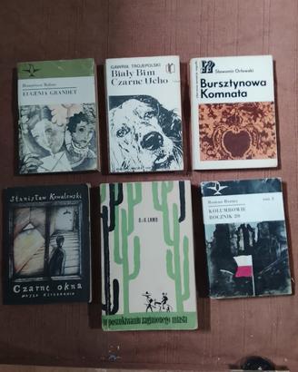 Lotto di 16 libri in polacco – narrativa – 15 €
