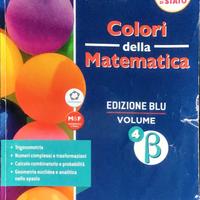 Colori della matematica ed. blu vol. 4b