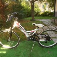 bicicletta bambino/a