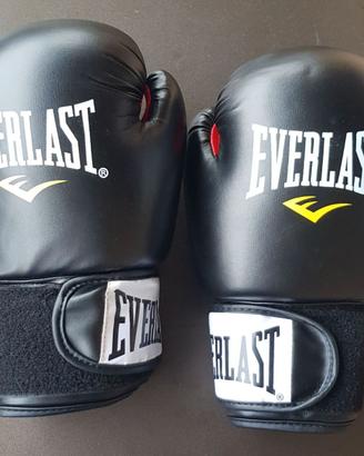 guantoni Everlast misura 12 adulto