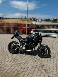 BMW F900R